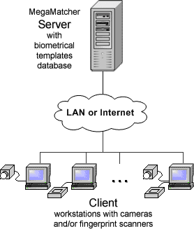 Scheme of multi-biometrical system based on MegaMatcher 2.1 Standard SDK