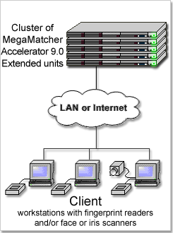 MegaMatcher Accelerator 3.0 Extended cluster