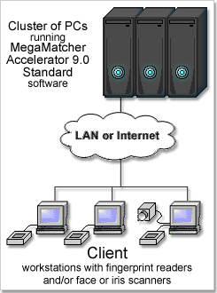 MegaMatcher Accelerator 3.0 Standard cluster