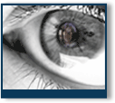VeriEye SDK