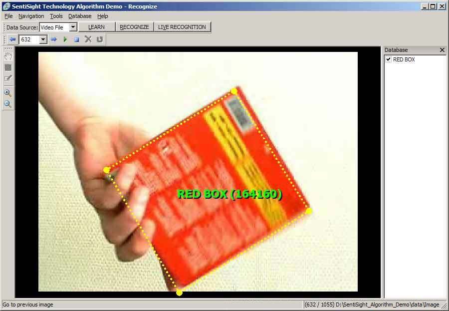 Screenshot for SentiSight algorithm demo for Windows 3.0