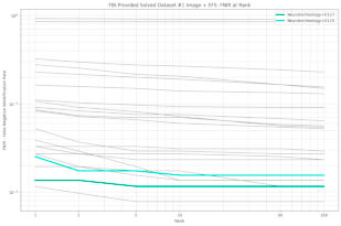 Neurotechnology algorithms performance in ELFT
