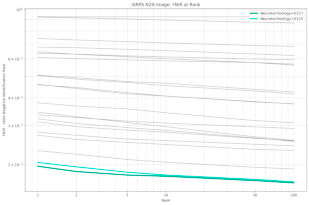 Neurotechnology algorithms performance in NIST ELFT, IARPA N2N (Sequestered) dataset