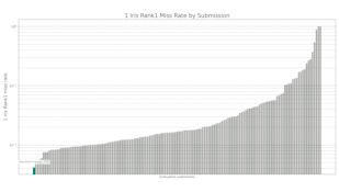 Neurotechnology algorithm performance in IREX 10