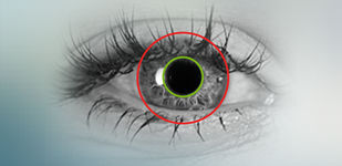 Eye iris modality icon