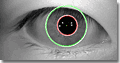 Precise iris boundary search by VeriEye further improves recognition quality when iris boundaries seem to be perfect circles