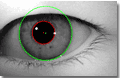 Different inner and outer iris boundaries are correctly segmented by VeriEye