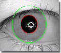 Iris boundaries that are not circles or ellipses are correctly segmented by VeriEye