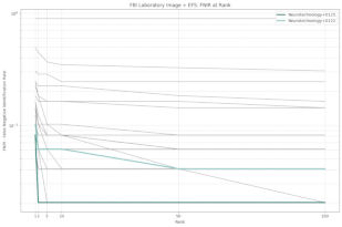 Neurotechnology algorithms performance in NIST ELFT, FBI Laboratory dataset