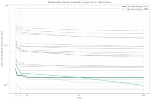 Neurotechnology algorithms performance in ELFT