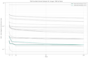 Neurotechnology algorithms performance in ELFT