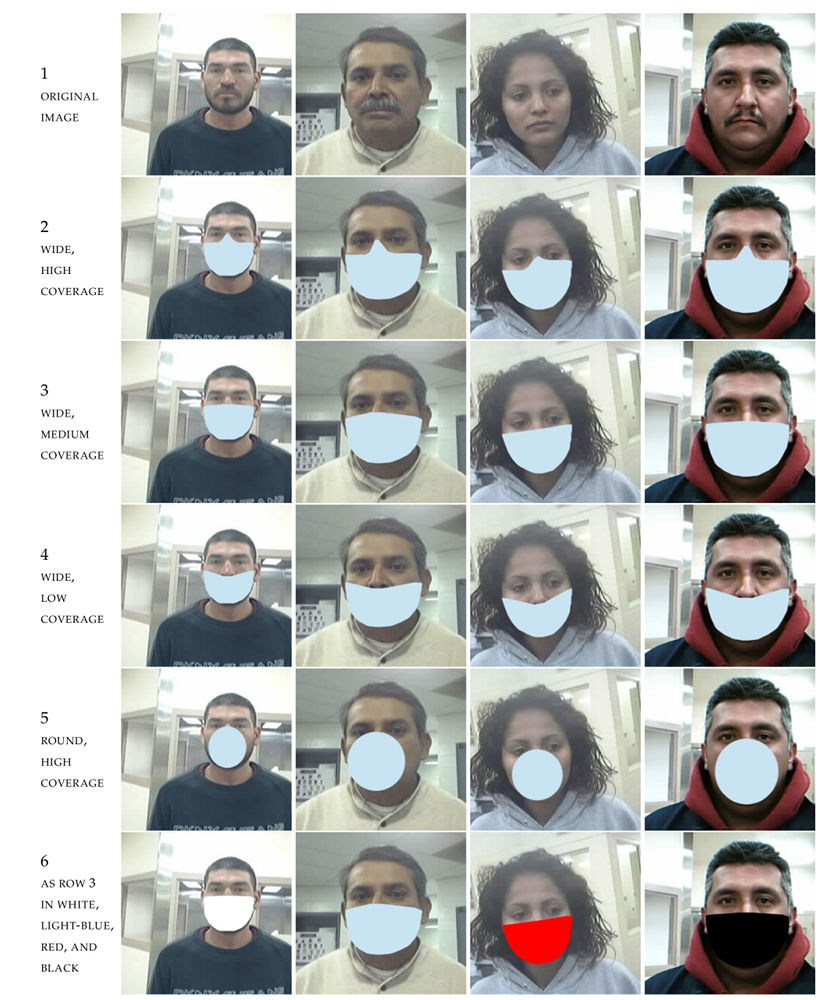 Sample synthetic masks