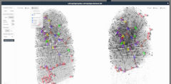 MegaMatcher ABIS client screenshot - fingerprints adjudication