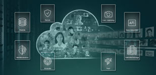 MegaMatcher ABIS Online graphics