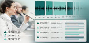 Neurotechnology AI SDK graphics